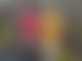 Results of the Trigg County Country Ham Biscuit Eating Contest