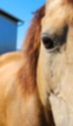 Acceptation