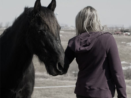 Femme avec un cheval de thérapie