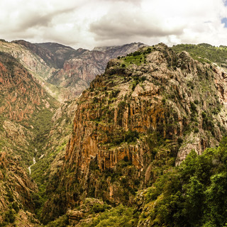 landscape-tree-nature-forest-rock-wilder