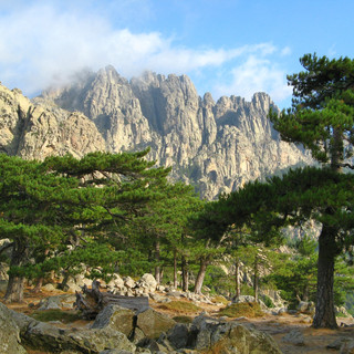 Aiguilles_de_Bavella_depuis_le_Col_de_Ba