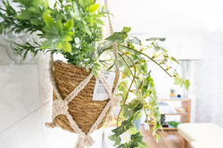 レンタルサロン 西荻窪店室内画像5