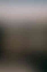 PalmSprings_OffCourse-19