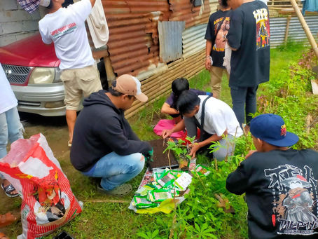 Skills Training Organic Gardening