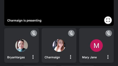 Virtual Meeting AJ-ALS DSWD