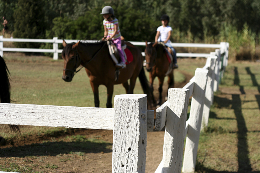 Cowichan Therapeutic Riding