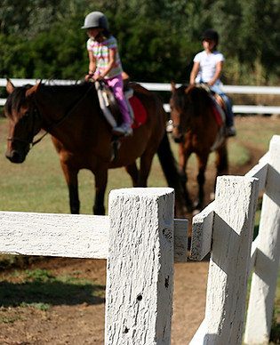 Kinder reiten Pferde