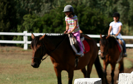 Kids Riding Horses