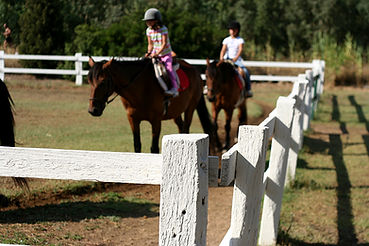 Children Riding Horses