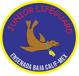 Logo jr.jpg