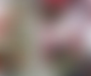 Zack Moss Scouting Report