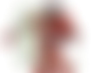 Garrett Wilson Scouting Report