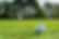 03_110718_MRGC_Creative-027.jpg