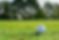03_110718_MRGC_Creative-027.jpg
