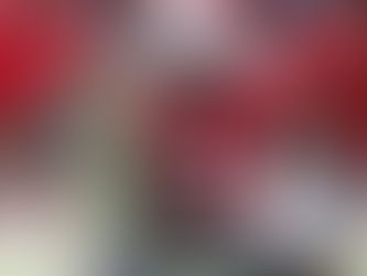 Wyatt Davis Scouting Profile