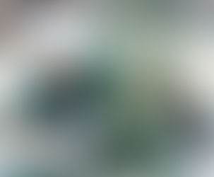 Kenny Willekes Scouting Report