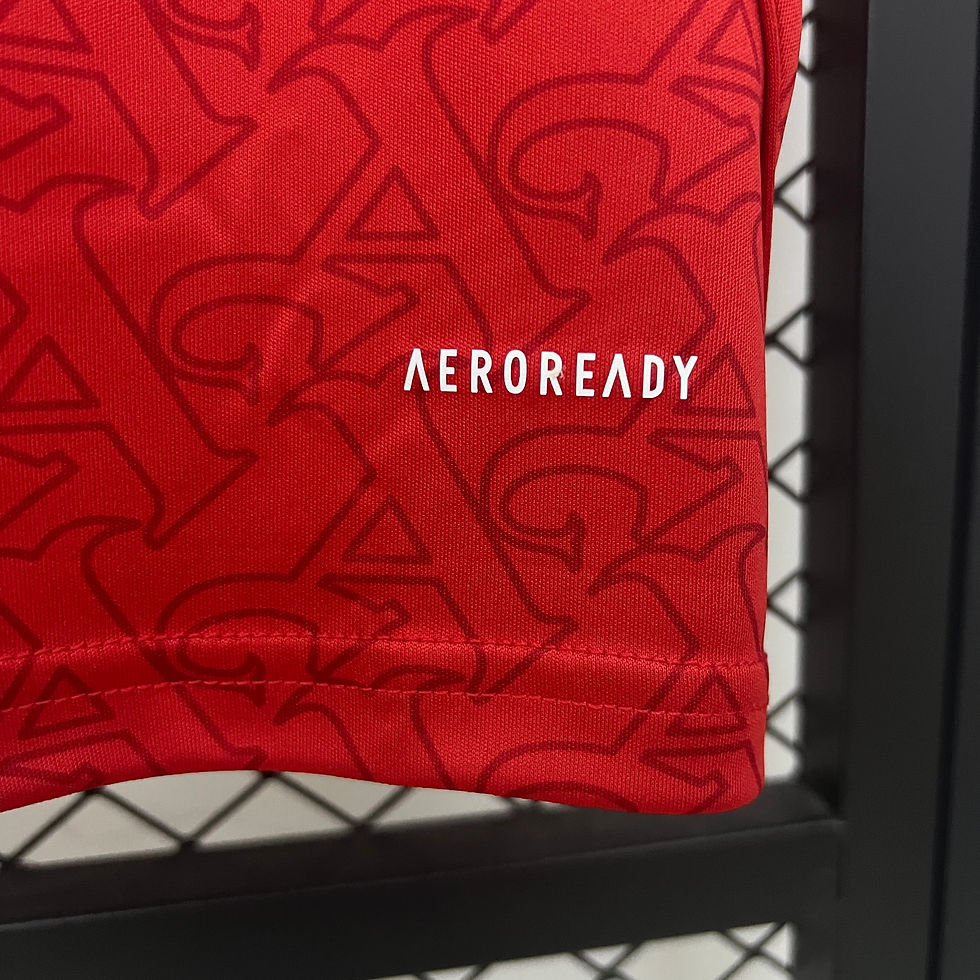 Miniatura: 1ª Equipación Arsenal 25/26