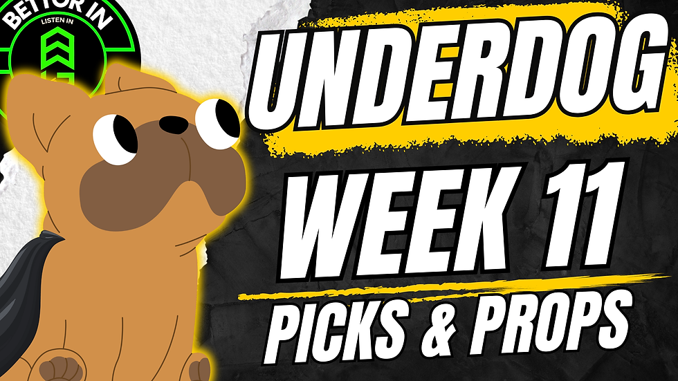 NFL Week 11 - Underdog Picks