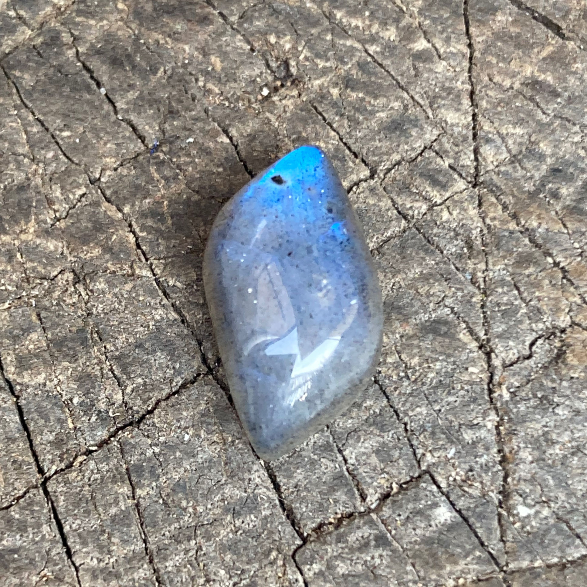 Labradorite 6.75 ct (Ref : LAB0016)