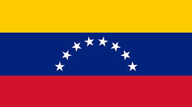 Venezuelan Flag .jpg