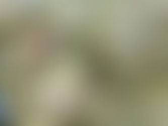 Kaç Para Edersiniz?