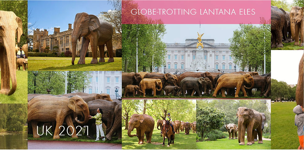 Where Art Walks Tall: My Visit to The Real Elephant Collective, Gudalur