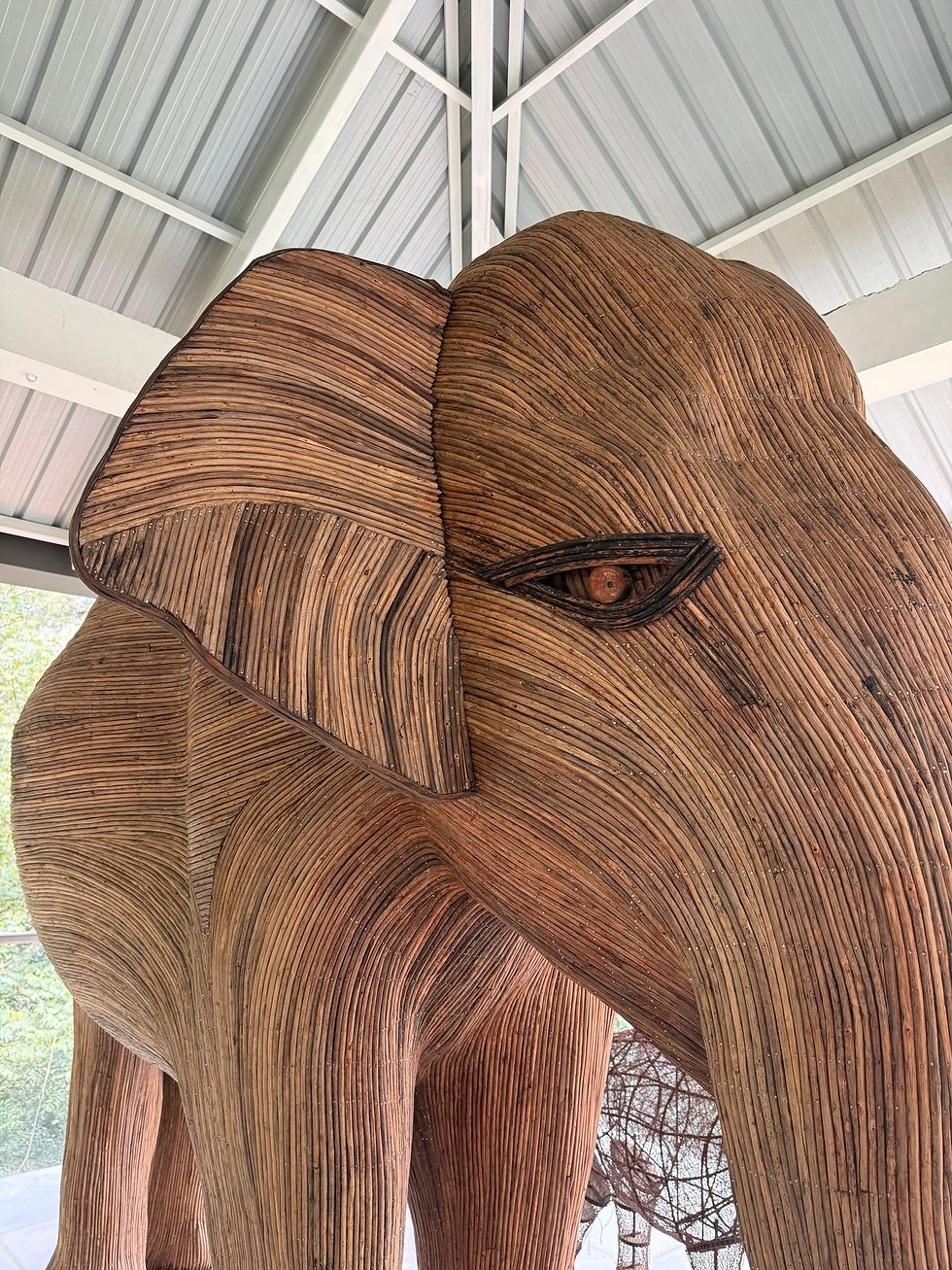 Bhama - beyond conflicts!!