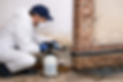 Technician treating rising damp in wall.png