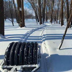 groomed singletrack _Sac & Fox