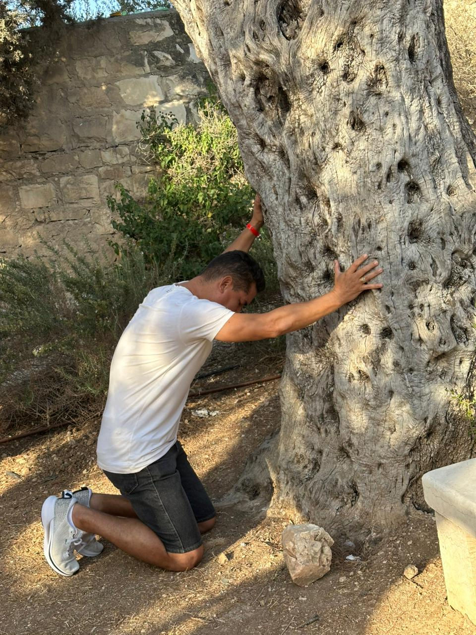 WhatsApp Image 2025-10-06 at 07.54.26 (2)