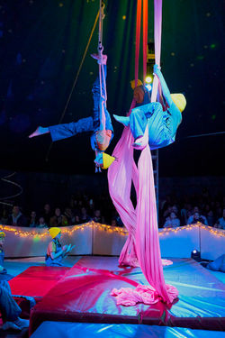 4966_Circus Briliamuzo_2026