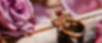 RingBanner1.jpg