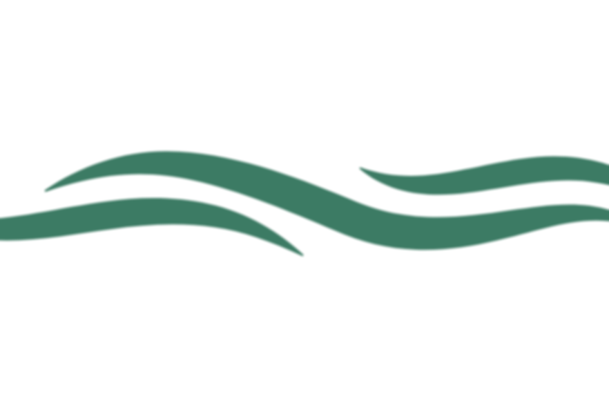 Vague Logo ESSENCE APOLLIN.png
