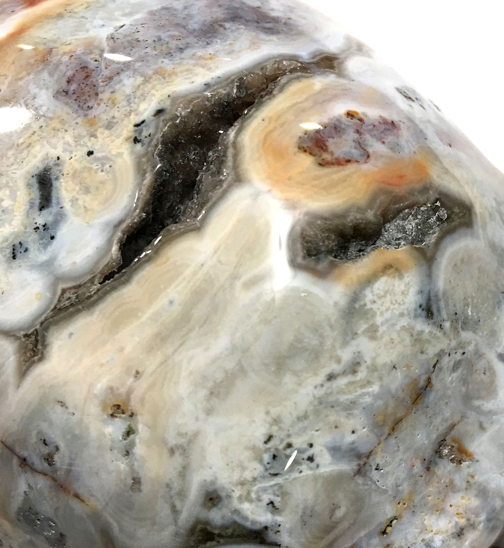 Thumbnail: Large Drusy Ocean Jasper Skull, Soul Healing, Karma Clearing, Crystal Skull