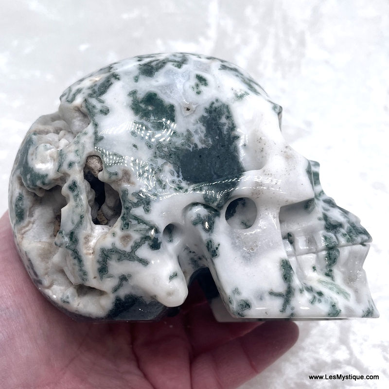 Thumbnail: Large White Dendritic Moss Agate Crystal Skull - Tree Agate, New Beginnings