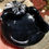 Miniatura: 4" Chrysanthemum stone gemstone bowl - attracts positive synchronicity