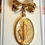 Miniatura: Large Vintage Our Lady Of Grace Pin Celluloid Virgin Mary Religious Jewelry