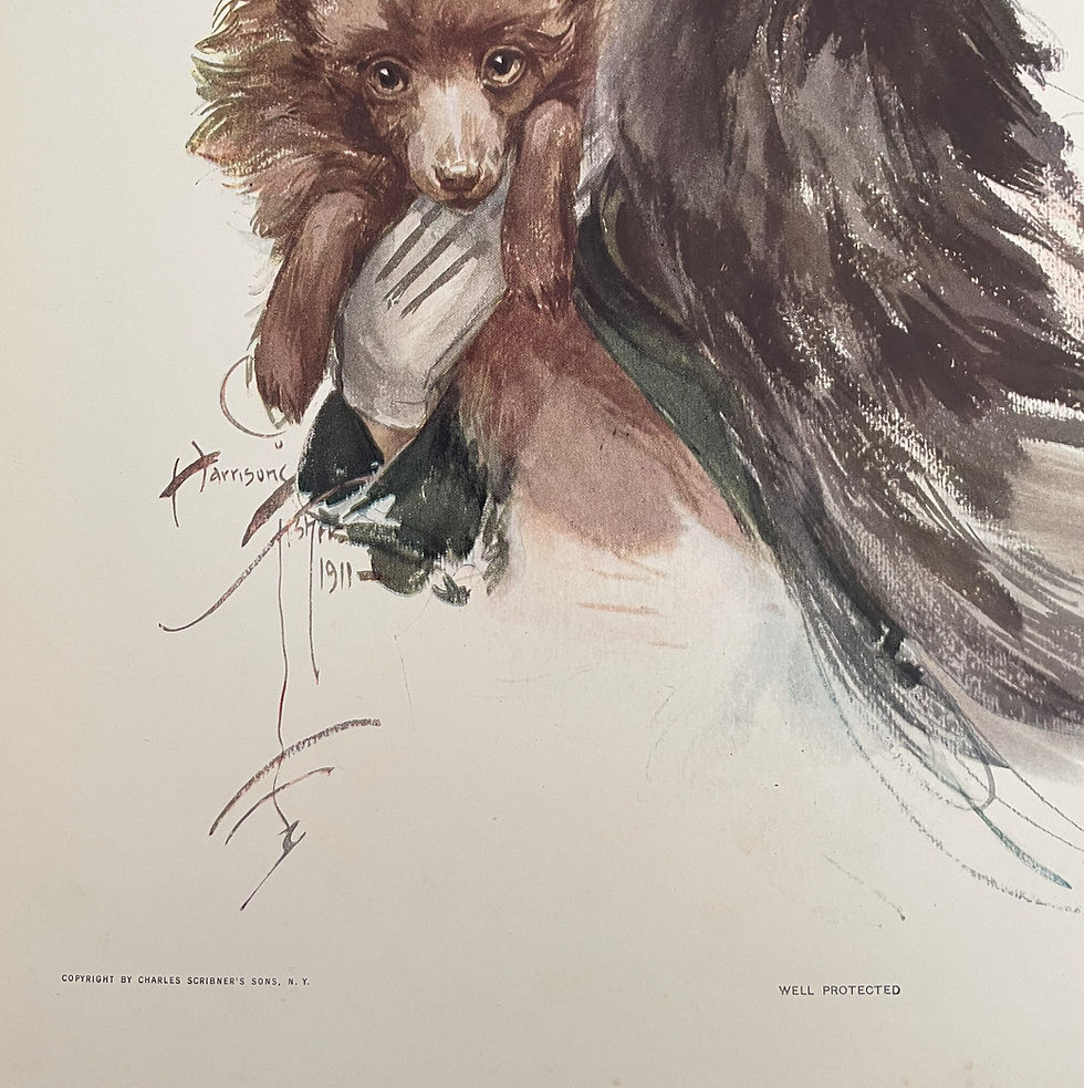 Thumbnail: Vintage Harrison Fisher Art Print Edwardian Woman and Dog, Well Protected