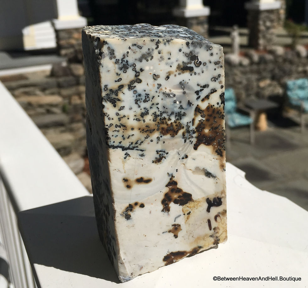 Thumbnail: Large 1Lb Dendritic Agate Standing Crystal Soul Healing Druzy Quartz
