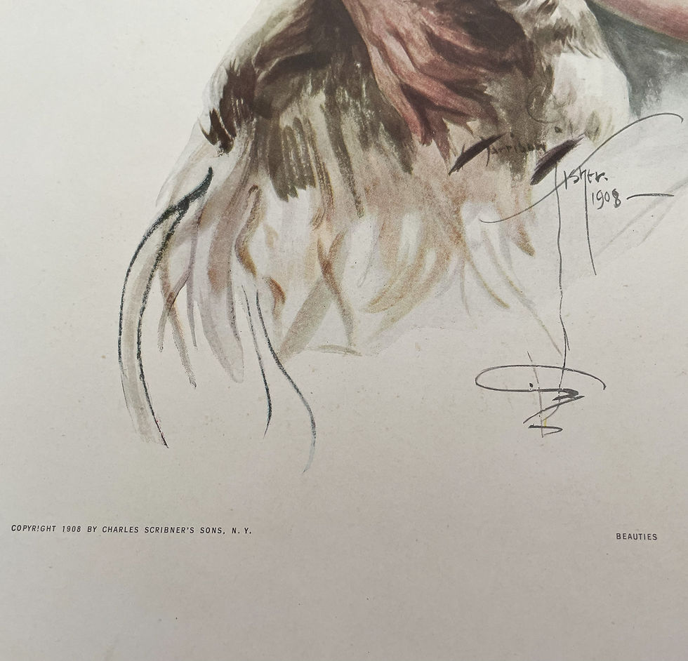 Thumbnail: Vintage Harrison Fisher Art Print Edwardian Woman and Maine Coon Cat
