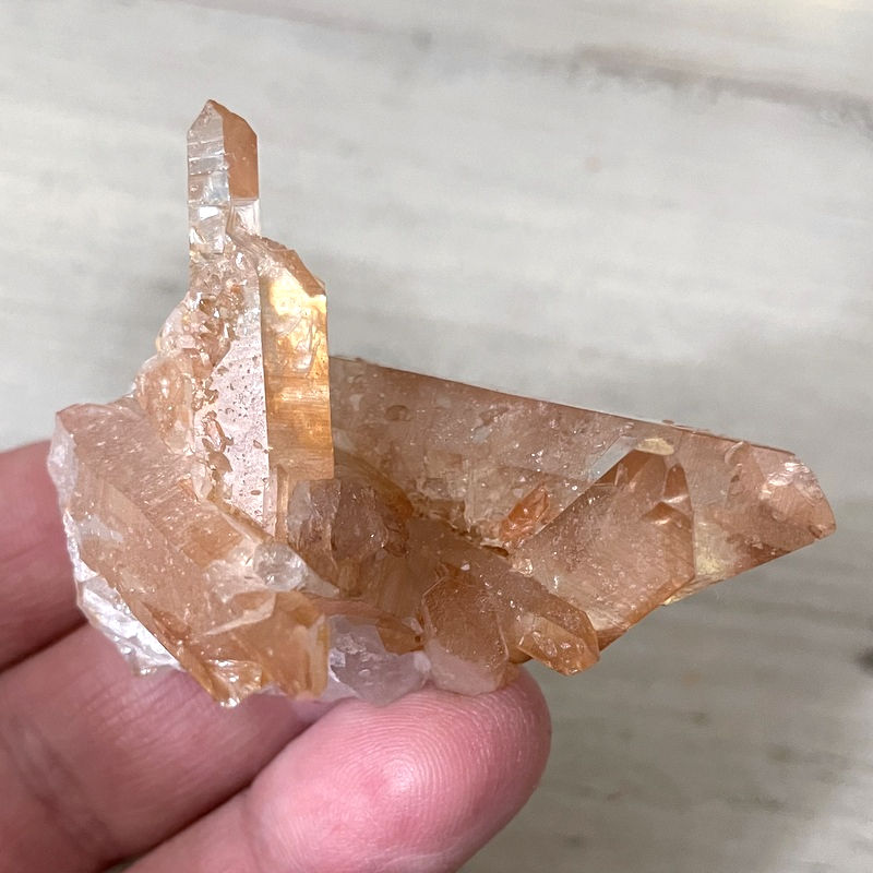Thumbnail: Golden Healer Quartz Crystal Cluster with Scepter, Reprogram your mind