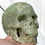 Miniatura: Large Moss Prehnite Crystal Skull, Archangel Raphael, Spirit Guides