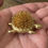 Miniatura: Vintage 1970's Turtle Brooch Fun Figural Costume Jewelry Pin