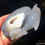 Miniatura: 4.25" Agate Dolphin Jumping Wave Sculpture Druzy Agate Handcarved dolphin