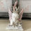 Miniatura: Shabby Chic Cherub Statue, Crowned Jeweled Cherub w/ Dragonfly and Book