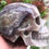 Miniatura: Opalized Fluorite Crystal Skull, Ascended Masters, Spirit Guide Communication