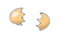 卵の殻.png