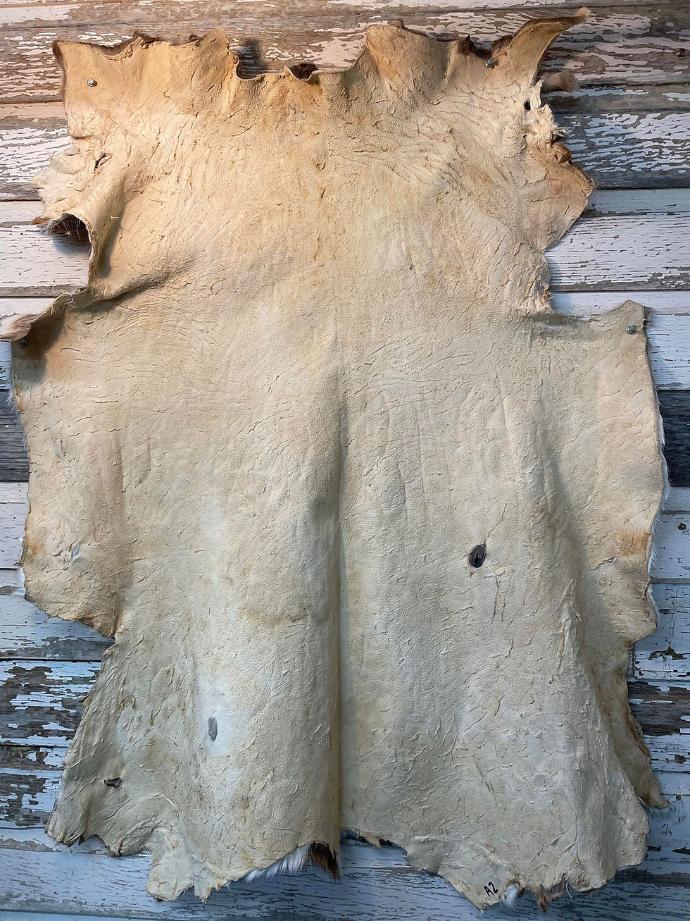 Thumbnail: Tanned Deer Hide With Hair On - 41 1/2"w X 34"W