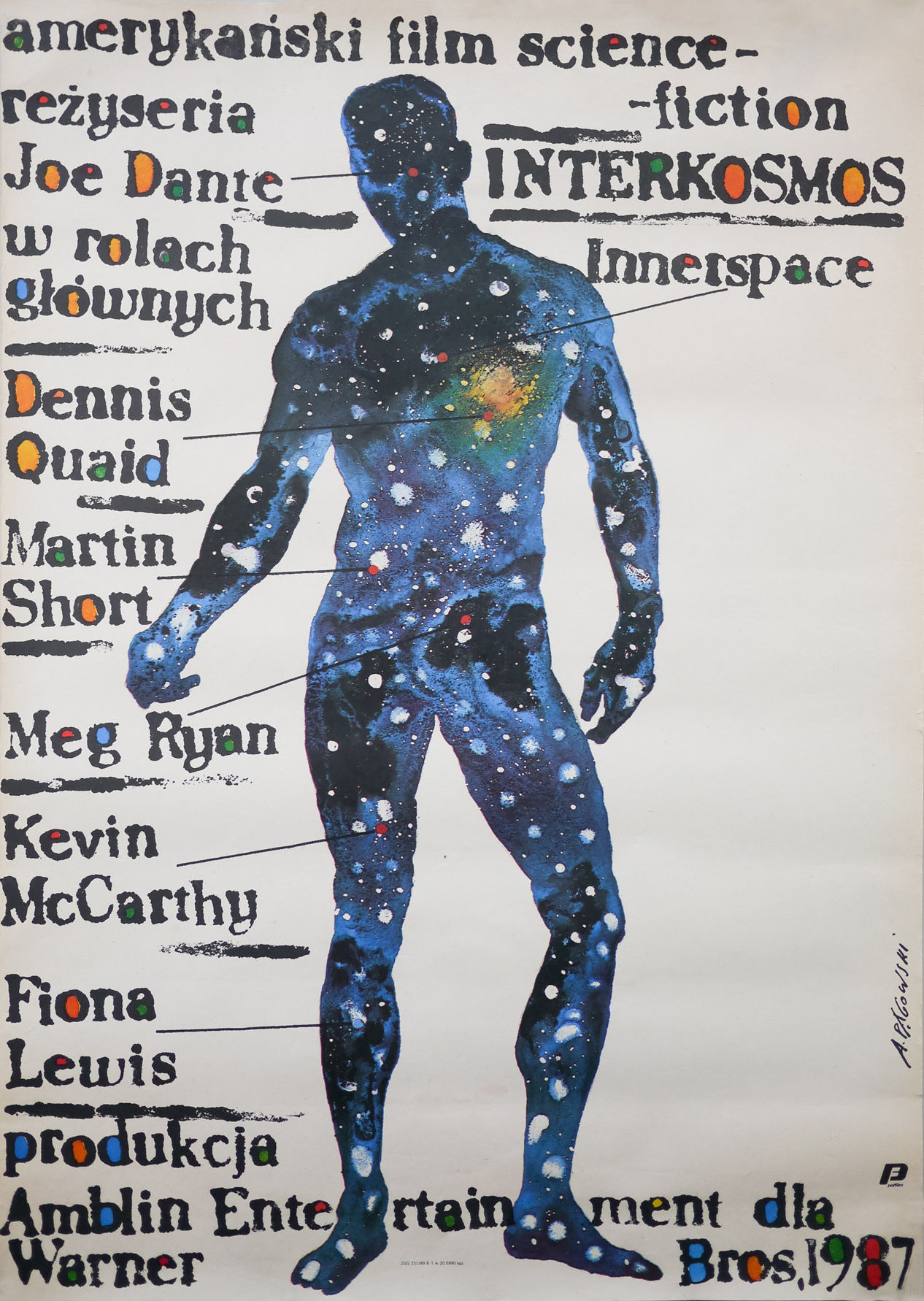 Polish Innerspace One-Sheet
