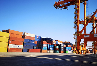 despachante de aduana 